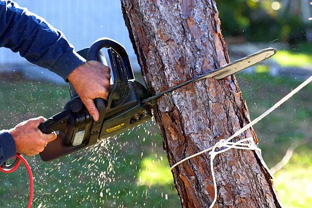 Lawn Irrigation Installation and Maintenance in Prunedale, CA